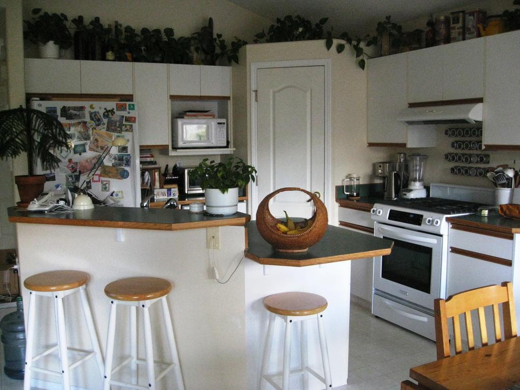 Avens Renaissance B&B Canmore Exteriör bild