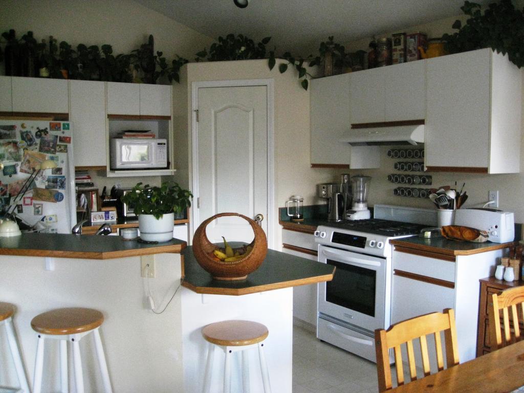 Avens Renaissance B&B Canmore Exteriör bild
