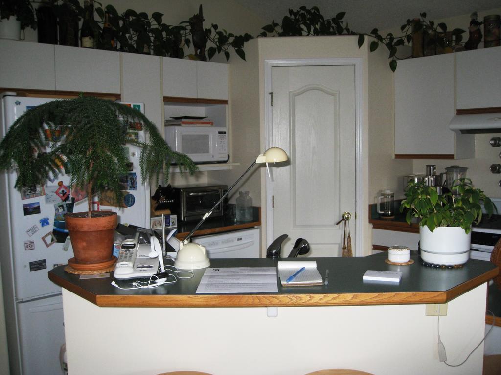 Avens Renaissance B&B Canmore Exteriör bild