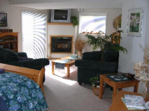 Avens Renaissance B&B Canmore Rum bild